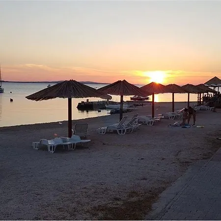 Aurora Vrsi-mulo Vrsi