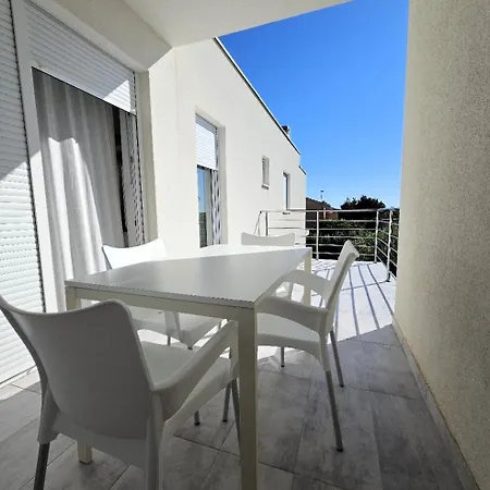 Aurora Vrsi-mulo Vrsi