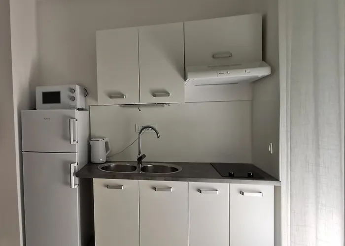 Aurora Vrsi-mulo * 沃希