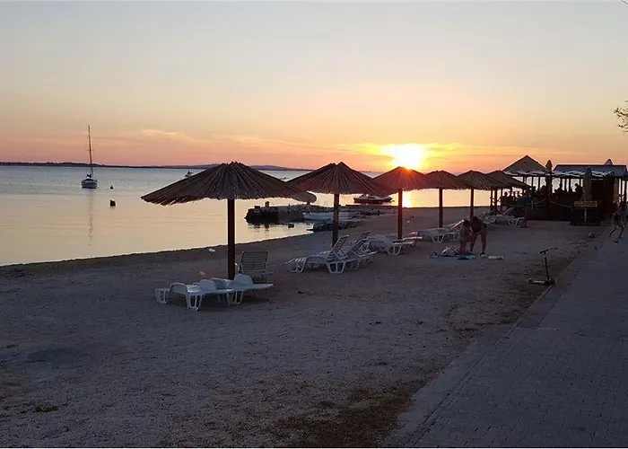 Aurora Vrsi-mulo 沃希